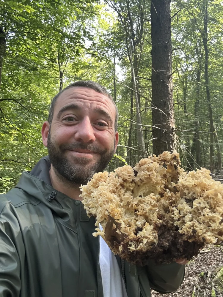 Pierre Buvat cueille des champignons en forêt normande pour sa cuisine de saison