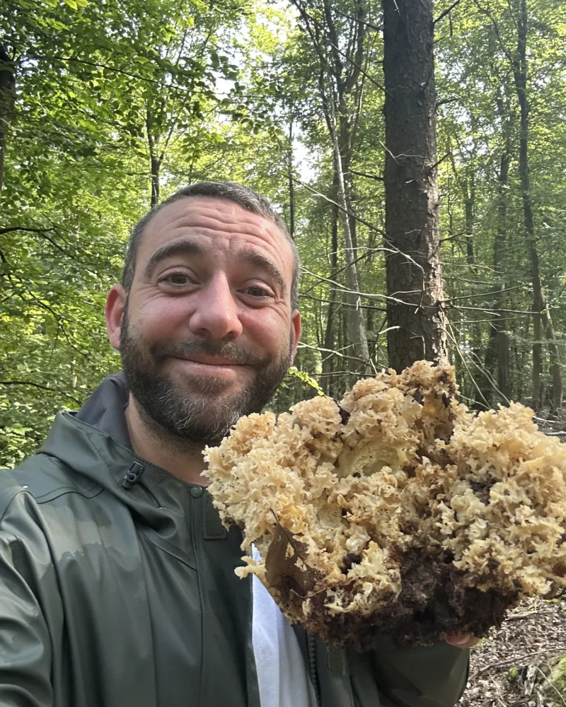 Pierre Buvat cueille des champignons en forêt normande pour sa cuisine de saison